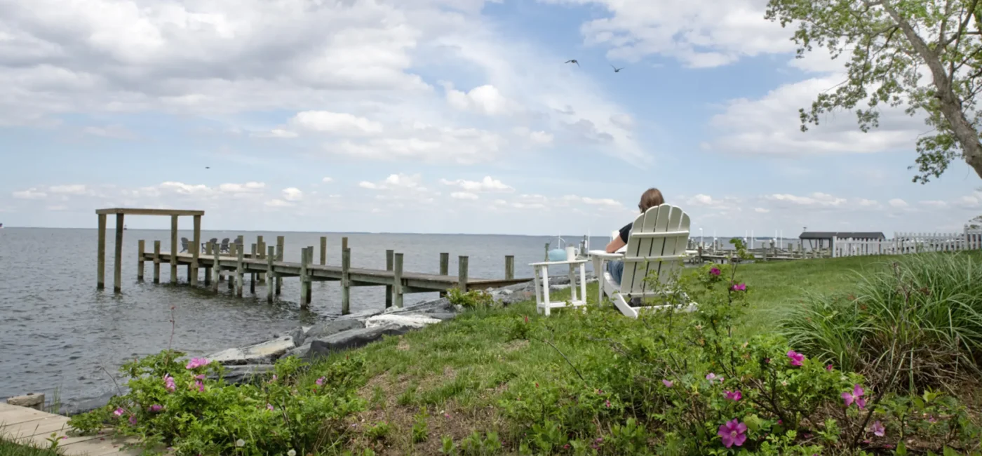 Chesapeake Bay Crabbing 101 – Ultimate Maryland Guide