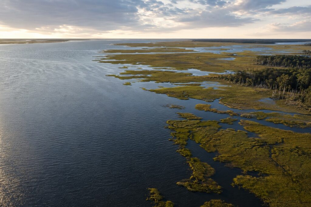 Chesapeake Bay